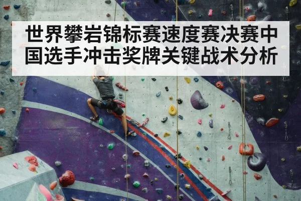 sport climbing speed wall competition