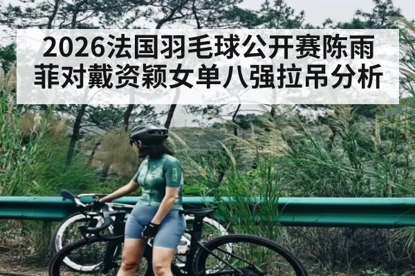 2026法国羽毛球公开赛陈雨菲对戴资颖女单八强拉吊分析